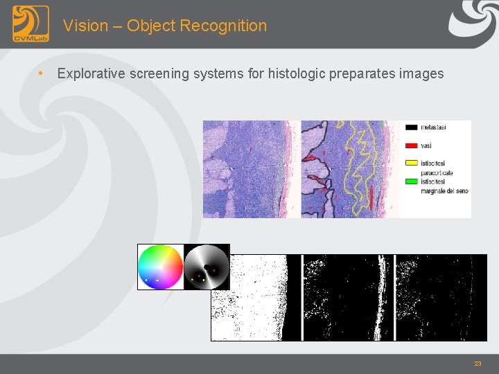Vision – Object Recognition • Explorative screening systems for histologic preparates images 23 