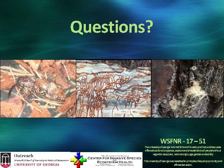 Questions? WSFNR - 17 – 51 The. Universityof. Georgia. Warnell. Schoolof. Forestryand. Natural. Resources