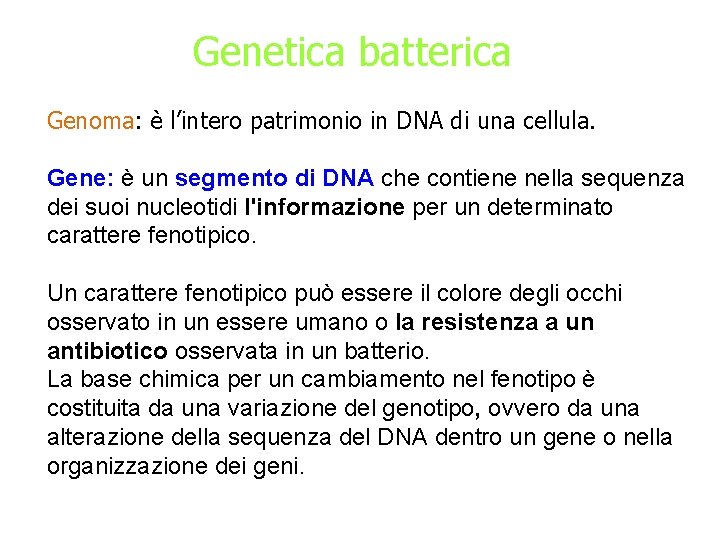 Genetica batterica Genoma: è l’intero patrimonio in DNA di una cellula. Gene: è un