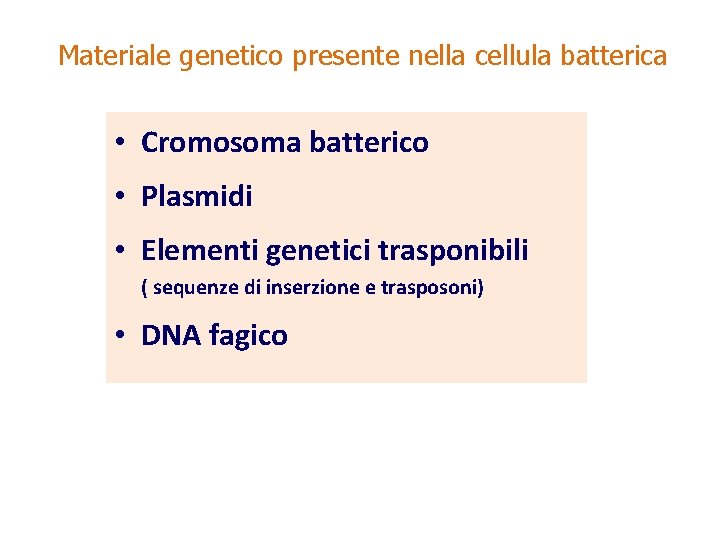 Materiale genetico presente nella cellula batterica • Cromosoma batterico • Plasmidi • Elementi genetici