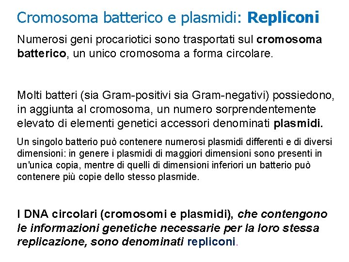 Cromosoma batterico e plasmidi: Repliconi Numerosi geni procariotici sono trasportati sul cromosoma batterico, un