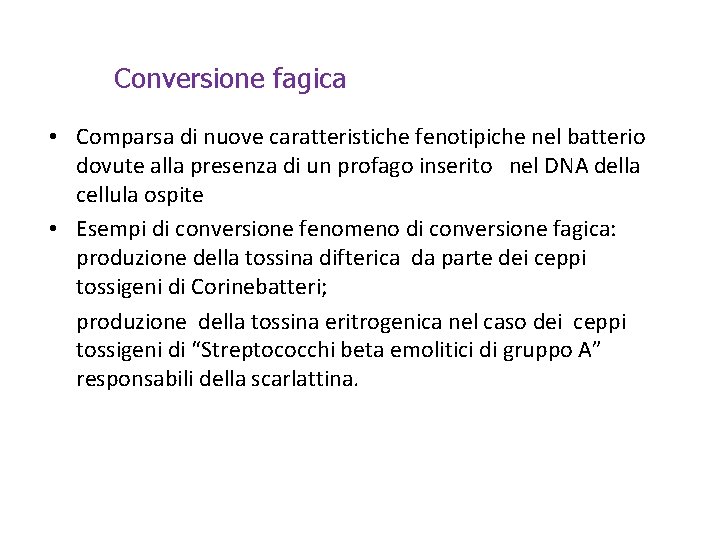 Conversione fagica • Comparsa di nuove caratteristiche fenotipiche nel batterio dovute alla presenza di