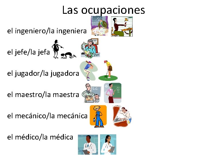 Las ocupaciones el ingeniero/la ingeniera el jefe/la jefa el jugador/la jugadora el maestro/la maestra