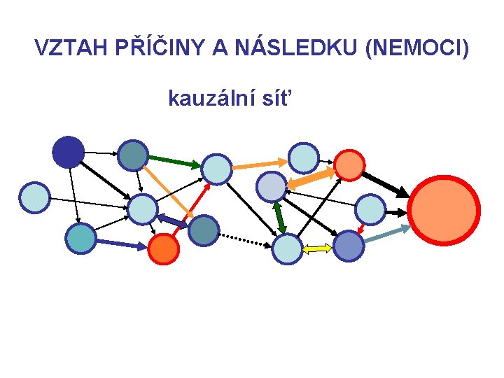 VZTAH PŘÍČINY A NÁSLEDKU (NEMOCI) kauzální síť 