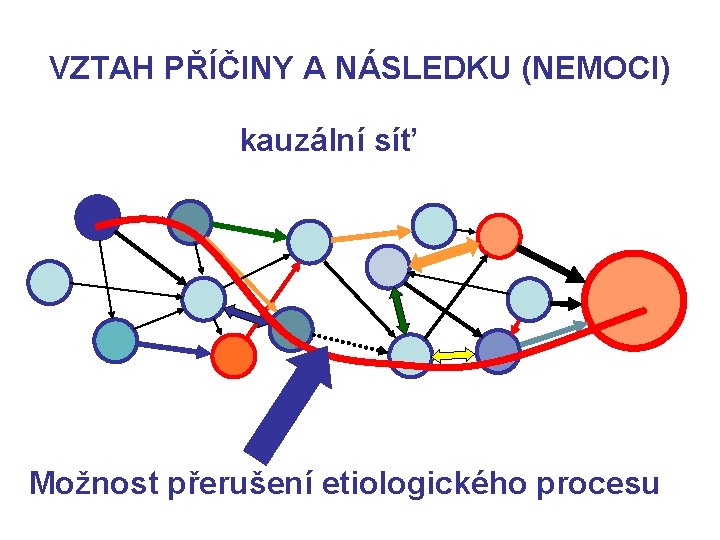 VZTAH PŘÍČINY A NÁSLEDKU (NEMOCI) kauzální síť Možnost přerušení etiologického procesu 