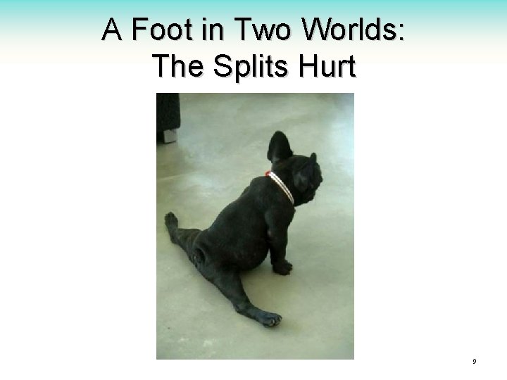 A Foot in Two Worlds: The Splits Hurt 9 