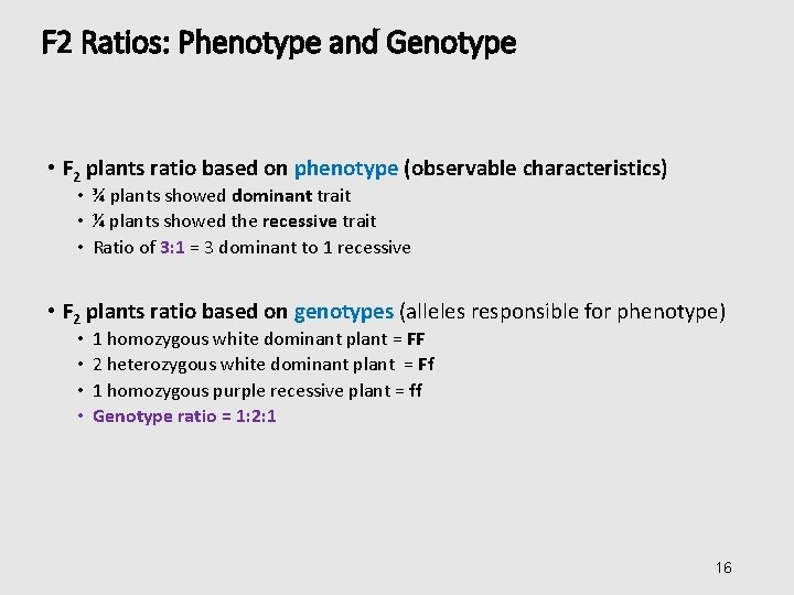 F 2 Ratios: Phenotype and Genotype • F 2 plants ratio based on phenotype