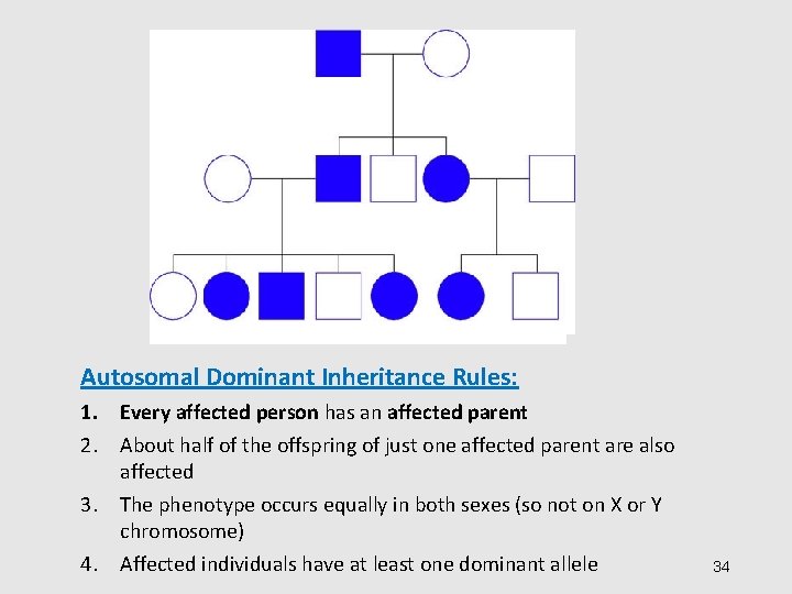 Autosomal Dominant Inheritance Rules: 1. Every affected person has an affected parent 2. About