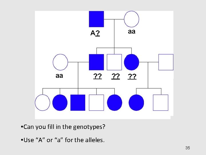 aa A? aa ? ? • Can you fill in the genotypes? • Use