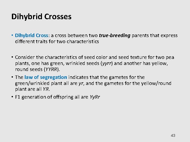 Dihybrid Crosses • Dihybrid Cross: a cross between two true-breeding parents that express different