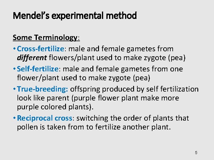 Mendel’s experimental method Some Terminology: • Cross-fertilize: male and female gametes from different flowers/plant