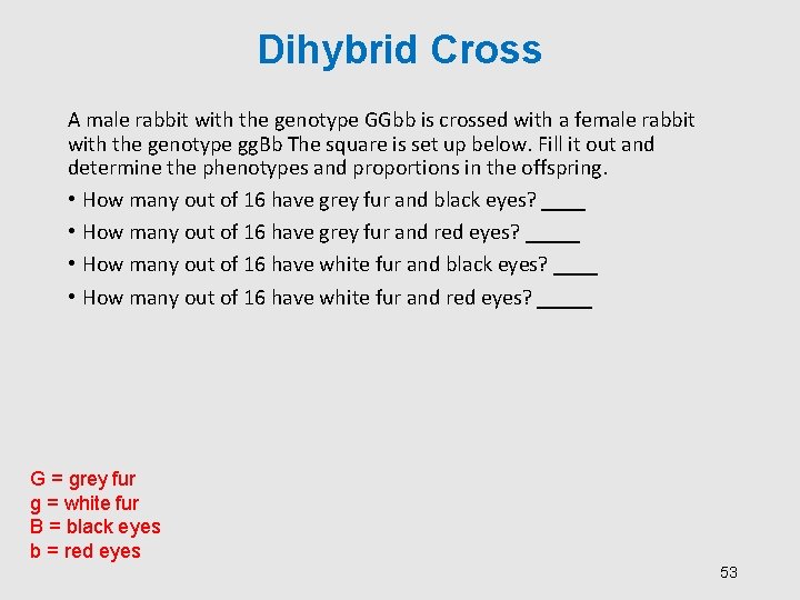 Dihybrid Cross A male rabbit with the genotype GGbb is crossed with a female
