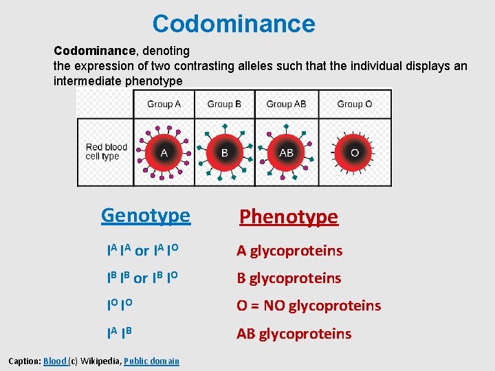 Codominance, denoting the expression of two contrasting alleles such that the individual displays an