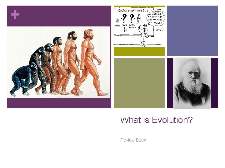 + What is Evolution? Review Book 