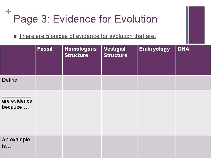 + Page 3: Evidence for Evolution n There are 5 pieces of evidence for