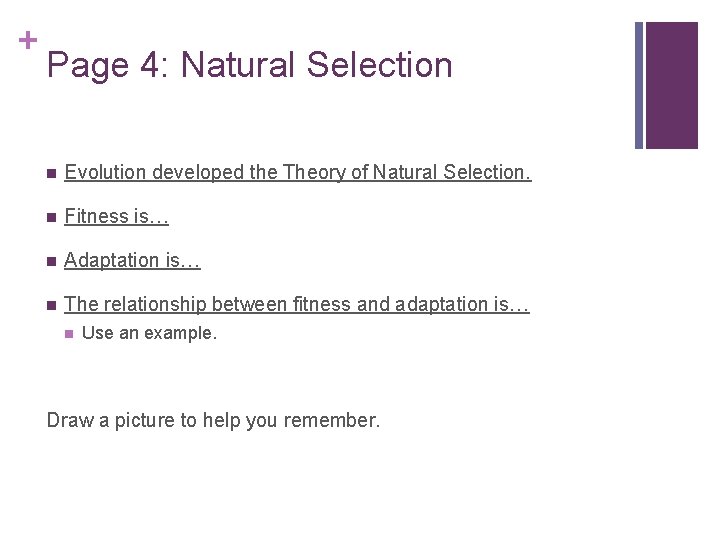 + Page 4: Natural Selection n Evolution developed the Theory of Natural Selection. n