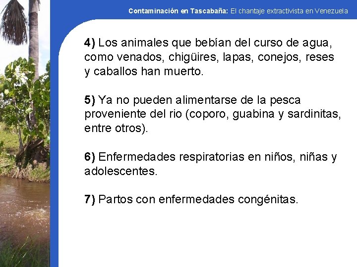 Contaminación en Tascabaña: El chantaje extractivista en Venezuela 4) Los animales que bebían del