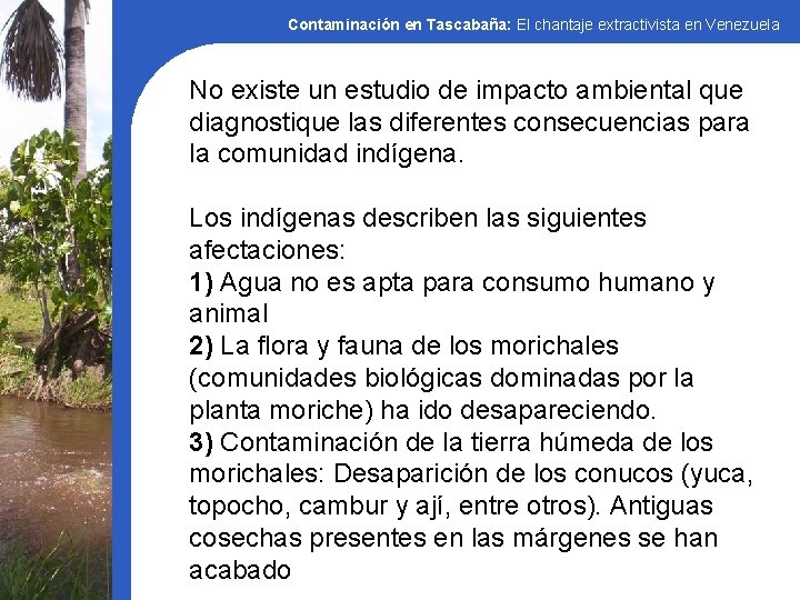 Contaminación en Tascabaña: El chantaje extractivista en Venezuela No existe un estudio de impacto