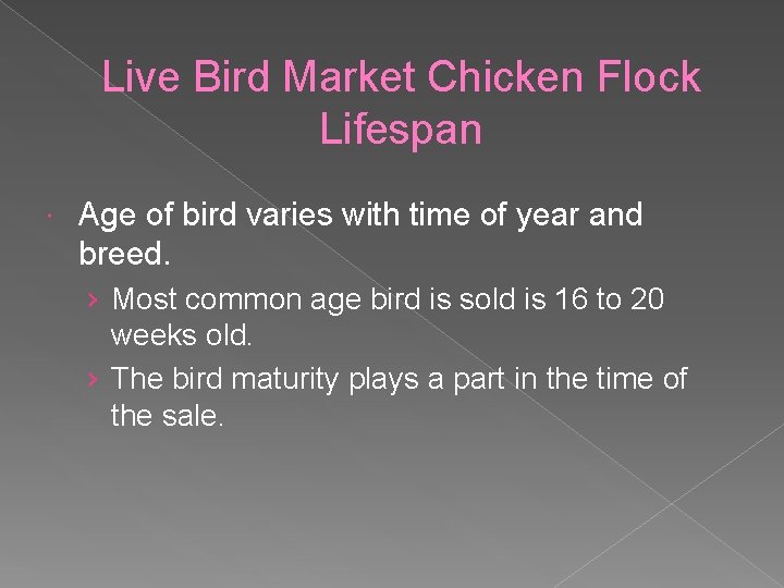 Live Bird Market Chicken Flock Lifespan Age of bird varies with time of year