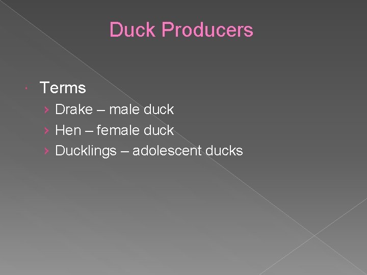 Duck Producers Terms › Drake – male duck › Hen – female duck ›