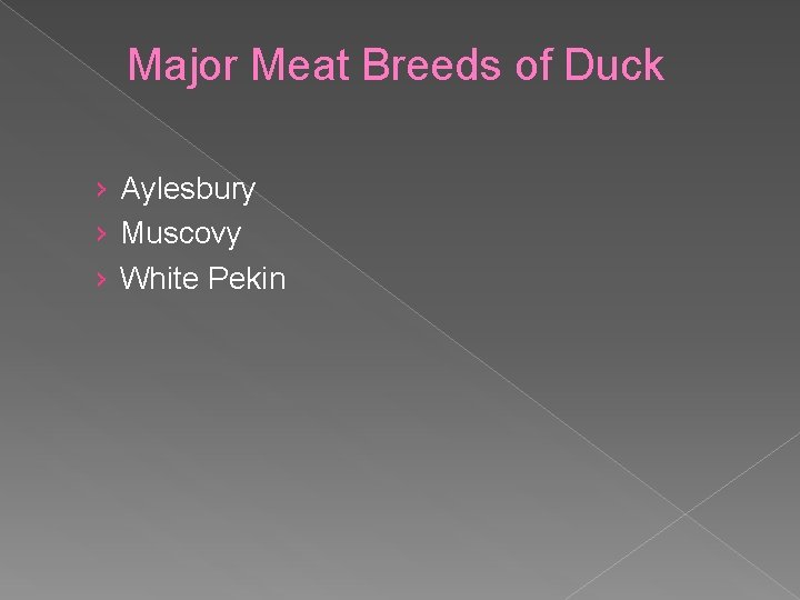Major Meat Breeds of Duck › Aylesbury › Muscovy › White Pekin 