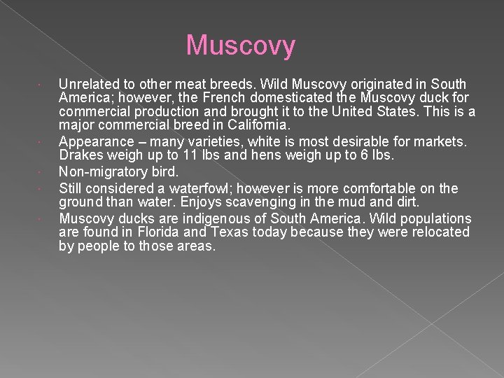 Muscovy Unrelated to other meat breeds. Wild Muscovy originated in South America; however, the