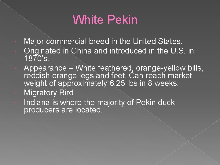 White Pekin Major commercial breed in the United States. Originated in China and introduced