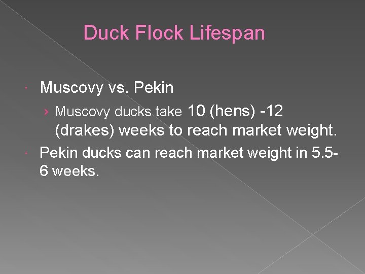 Duck Flock Lifespan Muscovy vs. Pekin › Muscovy ducks take 10 (hens) -12 (drakes)