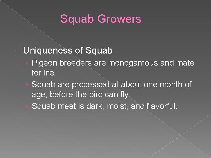 Squab Growers Uniqueness of Squab › Pigeon breeders are monogamous and mate for life.