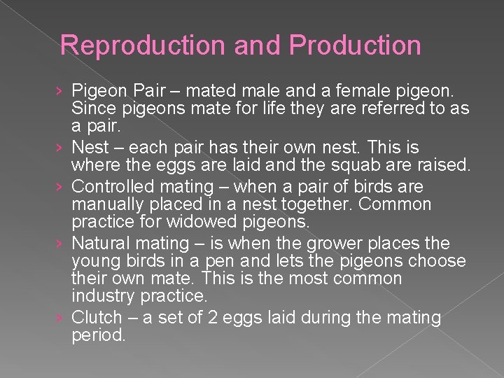 Reproduction and Production › Pigeon Pair – mated male and a female pigeon. Since