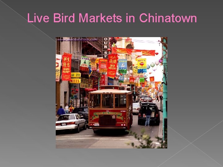 Live Bird Markets in Chinatown 