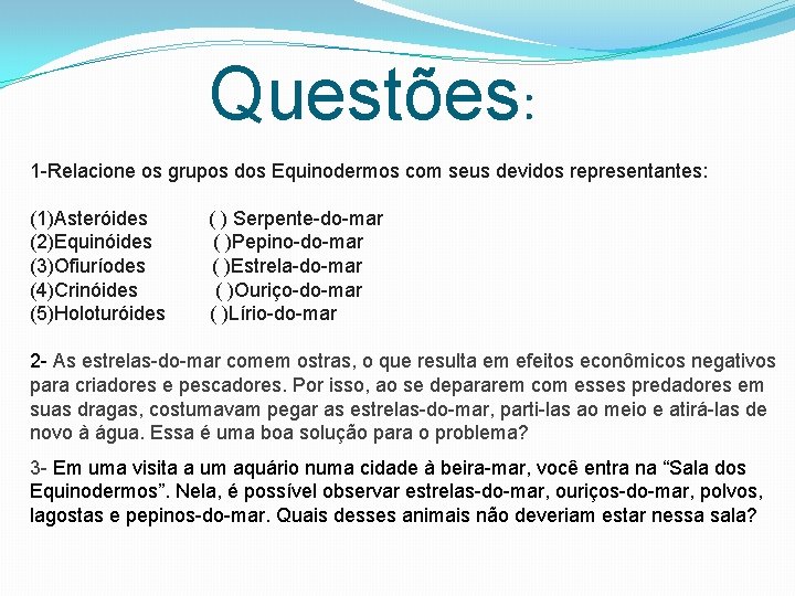 Questões: 1 -Relacione os grupos dos Equinodermos com seus devidos representantes: (1)Asteróides (2)Equinóides (3)Ofiuríodes