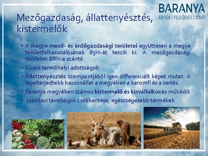Mezőgazdaság, állattenyésztés, kistermelők • A megye mező- és erdőgazdasági területei együttesen a megye területfelhasználásának Mezőgazdaság, állattenyésztés, kistermelők • A megye mező- és erdőgazdasági területei együttesen a megye területfelhasználásának