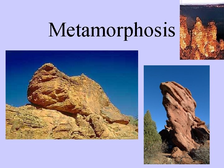 Metamorphosis 