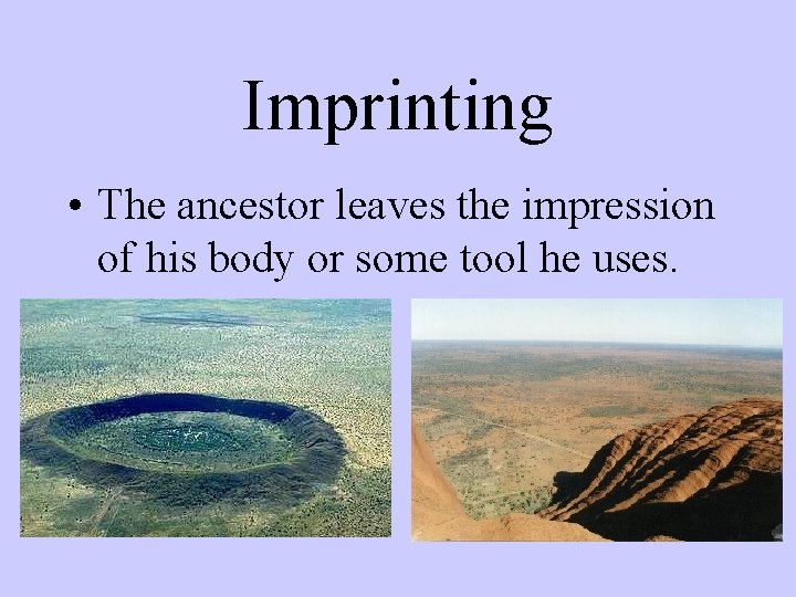 Imprinting • The ancestor leaves the impression of his body or some tool he