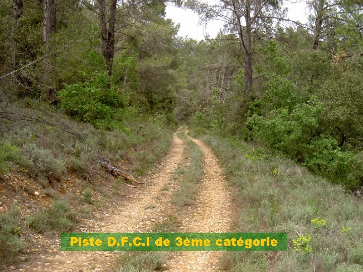 Piste D. F. C. I de 3ème catégorie Service Départemental d’Incendie et de Secours