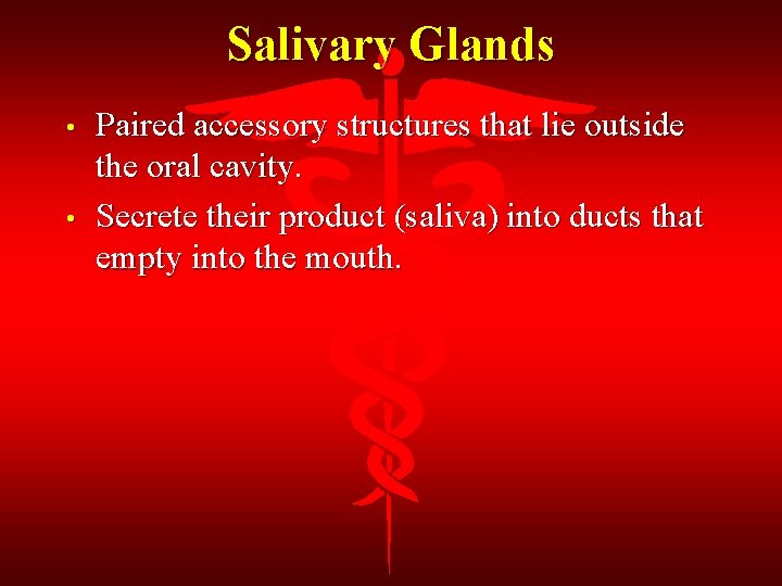 Salivary Glands • • Paired accessory structures that lie outside the oral cavity. Secrete