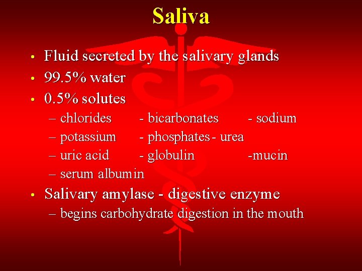 Saliva • • • Fluid secreted by the salivary glands 99. 5% water 0.