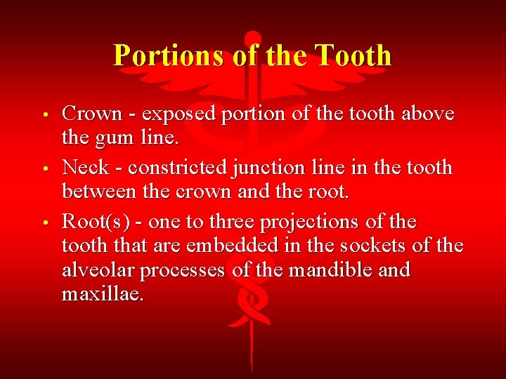 Portions of the Tooth • • • Crown - exposed portion of the tooth