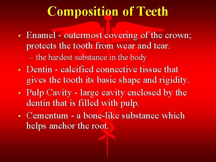 Composition of Teeth • Enamel - outermost covering of the crown; protects the tooth