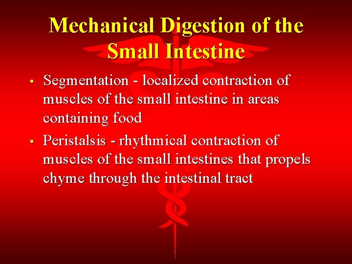 Mechanical Digestion of the Small Intestine • • Segmentation - localized contraction of muscles