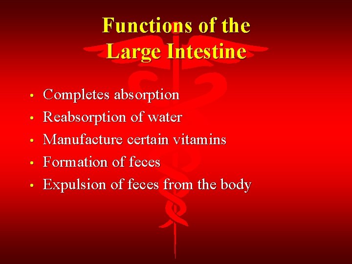 Functions of the Large Intestine • • • Completes absorption Reabsorption of water Manufacture