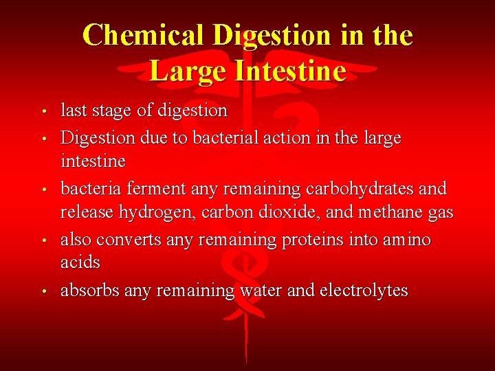 Chemical Digestion in the Large Intestine • • • last stage of digestion Digestion