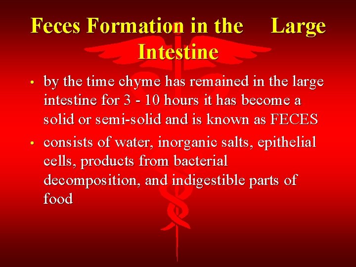 Feces Formation in the Intestine • • Large by the time chyme has remained