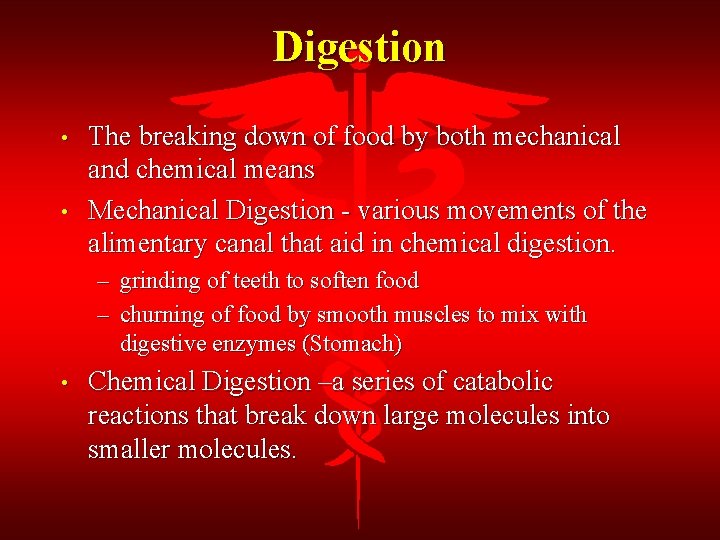 Digestion • • The breaking down of food by both mechanical and chemical means