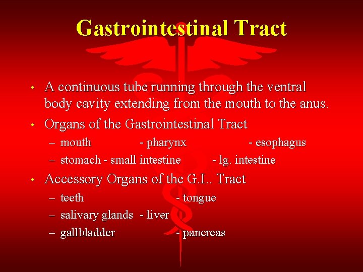 Gastrointestinal Tract • • A continuous tube running through the ventral body cavity extending