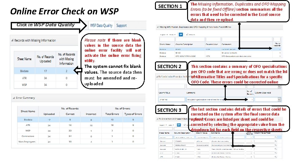 Online Error Check on WSP SECTION 1 The Missing Information, Duplicates and OFO Mapping