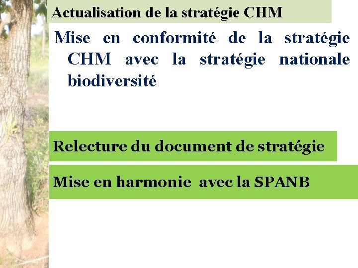 Actualisation de la stratégie CHM Mise en conformité de la stratégie CHM avec la