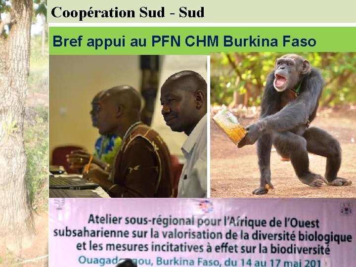 Coopération Sud - Sud Bref appui au PFN CHM Burkina Faso 