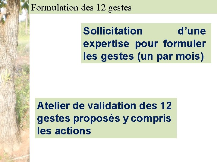 Formulation des 12 gestes Sollicitation d’une expertise pour formuler les gestes (un par mois)